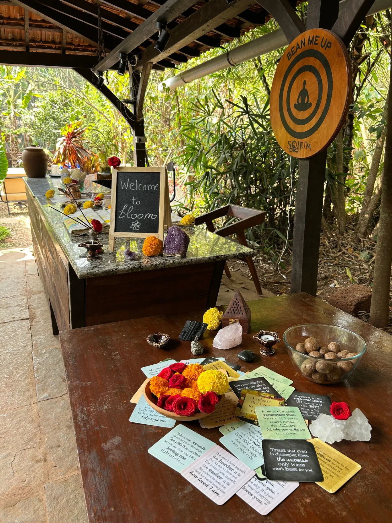 Bloom retreat 7